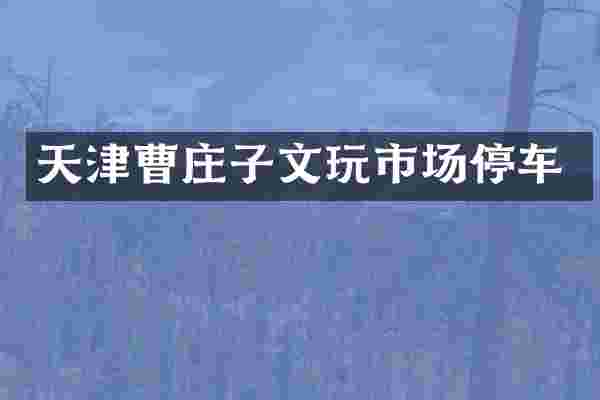 天津曹庄子文玩市场停车