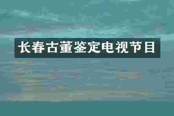 长春古董鉴定电视节目