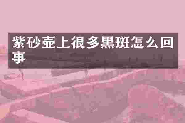 紫砂壶上很多黑斑怎么回事