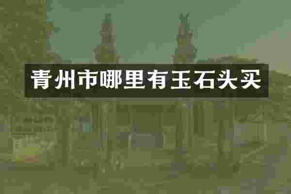 青州市哪里有玉石头买