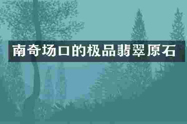 南奇场口的极品翡翠原石