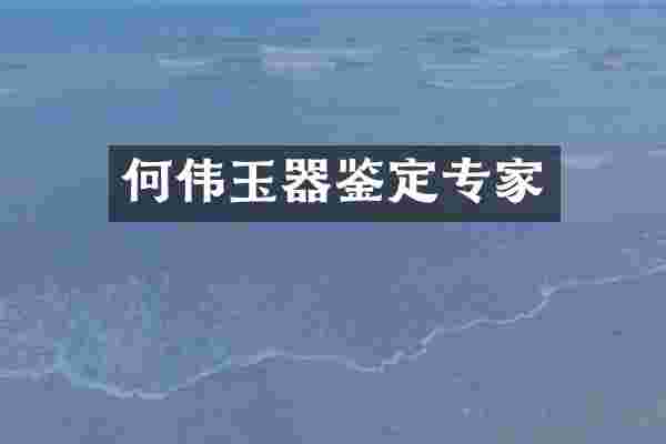 何伟玉器鉴定专家