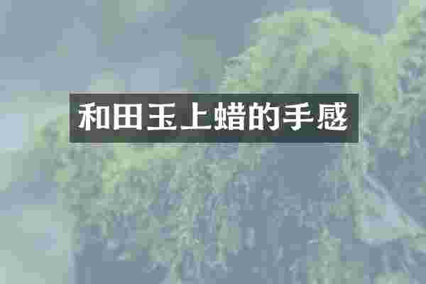 和田玉上蜡的手感