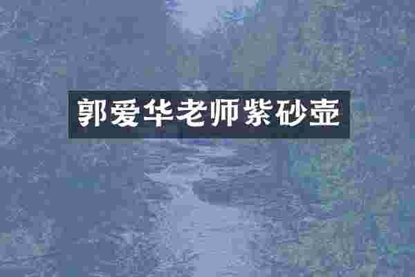 郭爱华老师紫砂壶