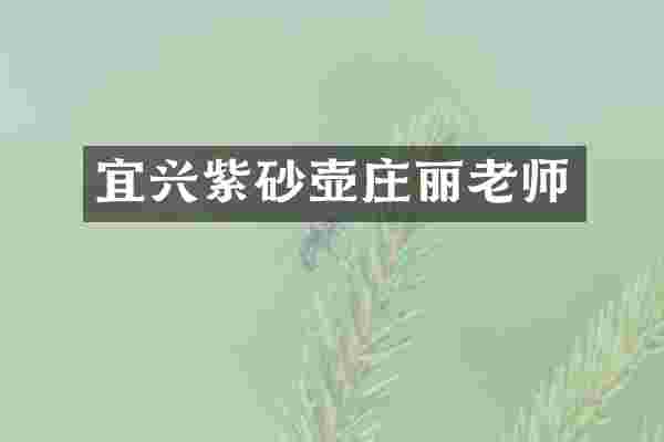 宜兴紫砂壶庄丽老师
