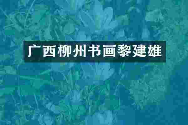 广西柳州书画黎建雄