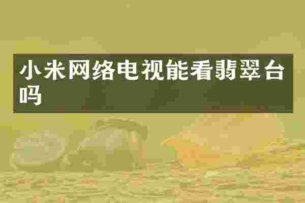 小米网络电视能看翡翠台吗