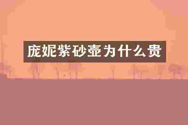 庞妮紫砂壶为什么贵
