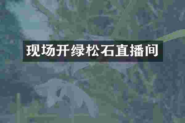 现场开绿松石直播间