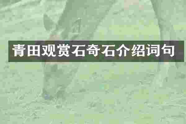 青田观赏石奇石介绍词句