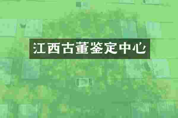 江西古董鉴定中心
