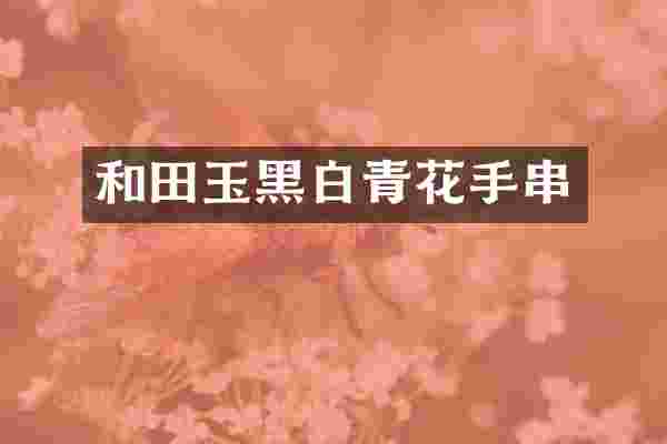 和田玉黑白青花手串