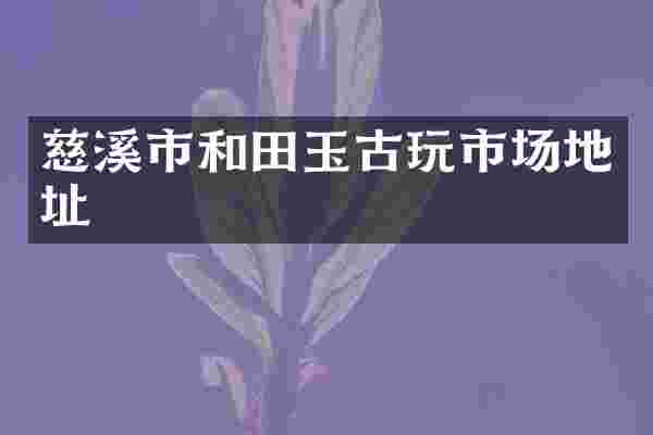 慈溪市和田玉古玩市场地址