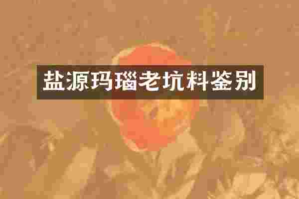 盐源玛瑙老坑料鉴别