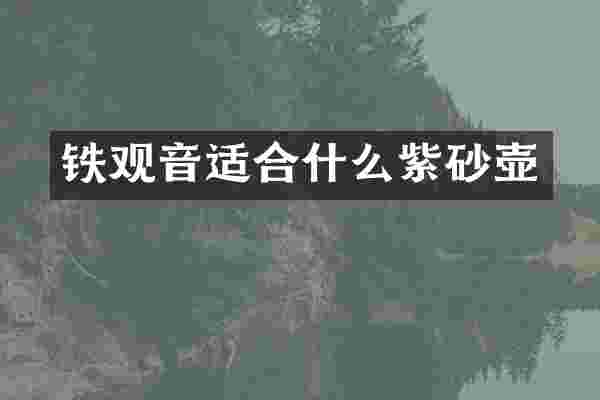 铁观音适合什么紫砂壶