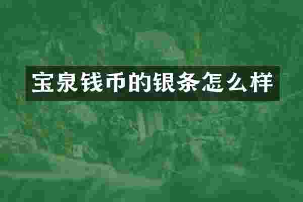 宝泉钱币的银条怎么样