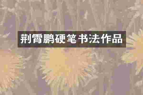 荆霄鹏硬笔书法作品