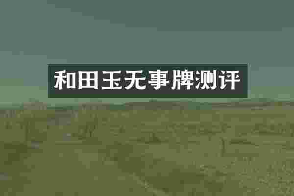 和田玉无事牌测评