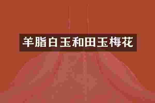 羊脂白玉和田玉梅花