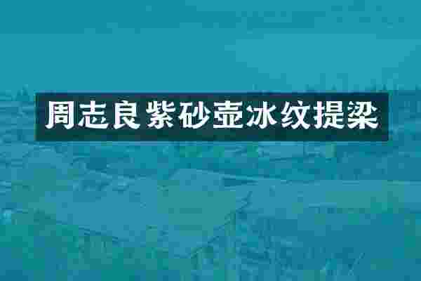 周志良紫砂壶冰纹提梁
