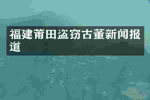 福建莆田盗窃古董新闻报道