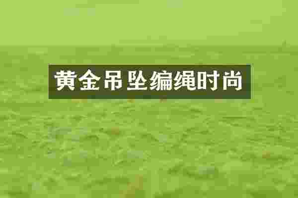 黄金吊坠编绳时尚