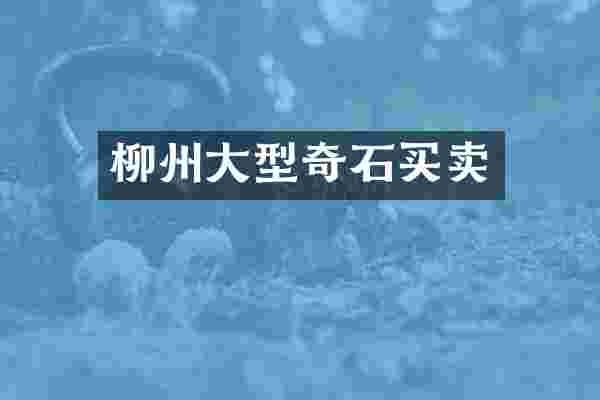 柳州大型奇石买卖