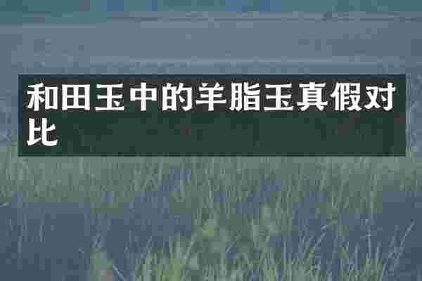 和田玉中的羊脂玉真假对比