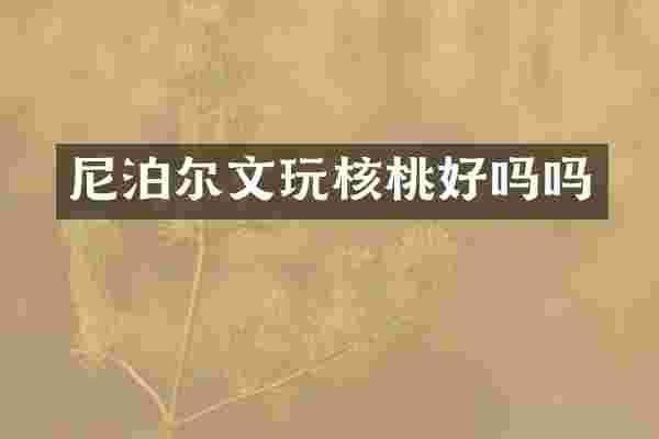 尼泊尔文玩核桃好吗吗