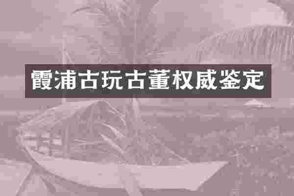 霞浦古玩古董权威鉴定