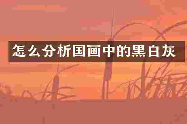 怎么分析国画中的黑白灰