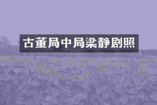古董局中局梁静剧照