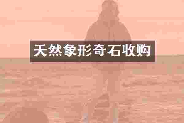 天然象形奇石收购