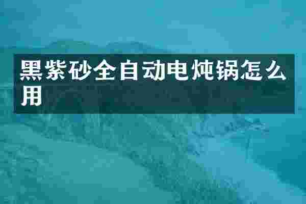 黑紫砂全自动电炖锅怎么用