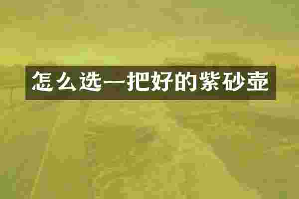 怎么选一把好的紫砂壶