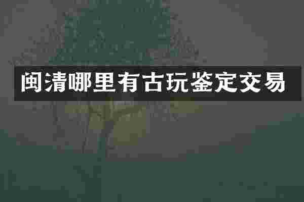 闽清哪里有古玩鉴定交易
