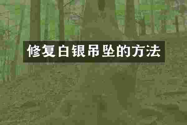 修复白银吊坠的方法