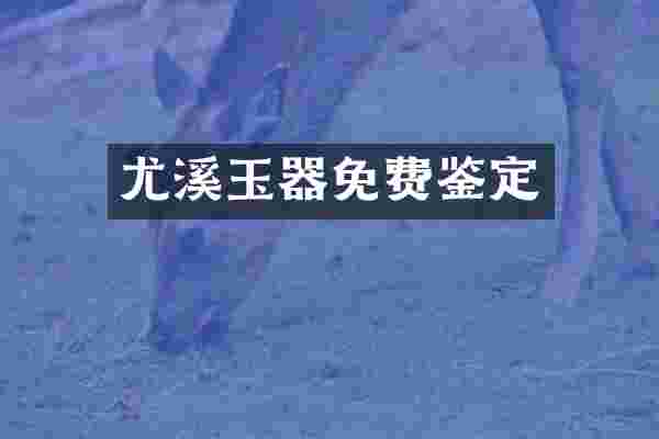 尤溪玉器免费鉴定