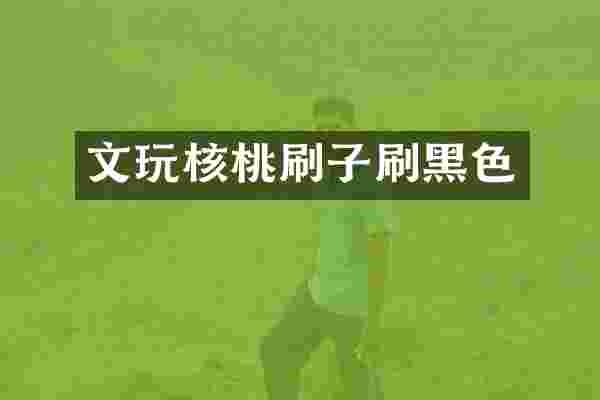 文玩核桃刷子刷黑色