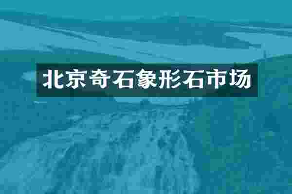 北京奇石象形石市场