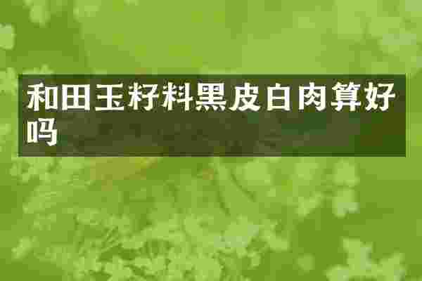 和田玉籽料黑皮白肉算好吗