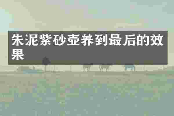 朱泥紫砂壶养到最后的效果