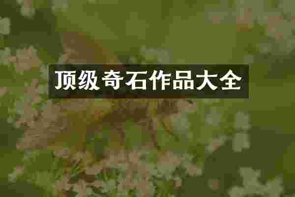 顶级奇石作品大全