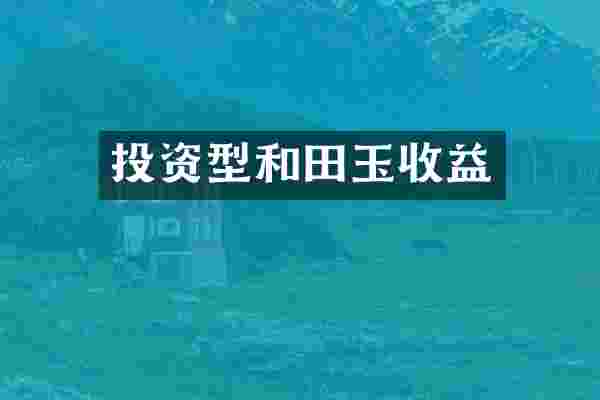 投资型和田玉收益