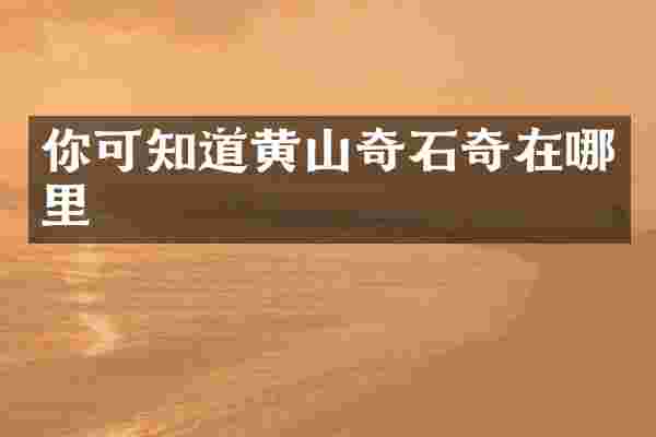 你可知道黄山奇石奇在哪里