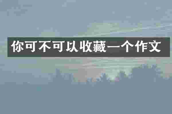 你可不可以收藏一个作文