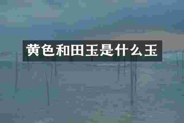 黄色和田玉是什么玉