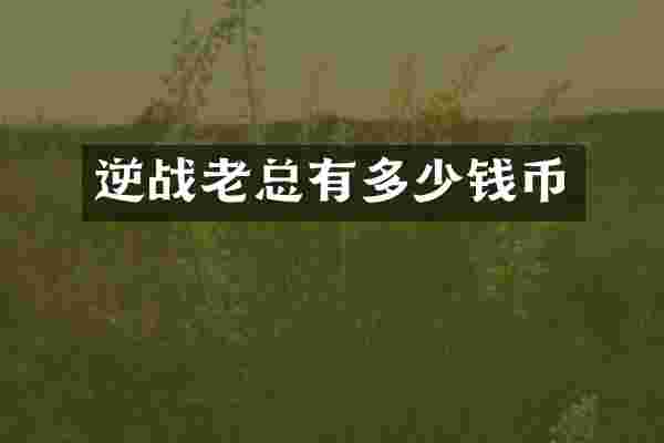 逆战老总有多少钱币
