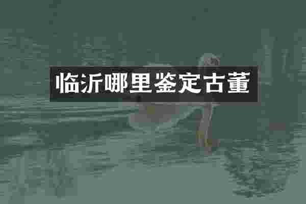 临沂哪里鉴定古董