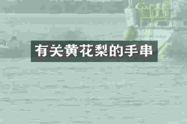 有关黄花梨的手串